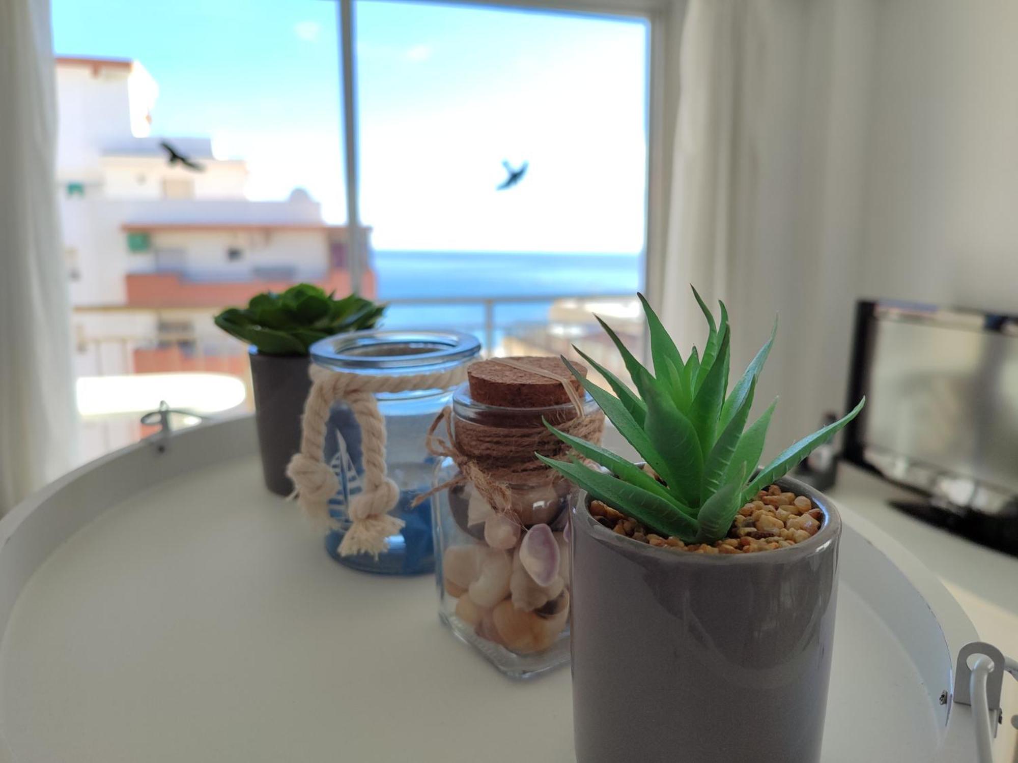 Appartement Brisa Marina *